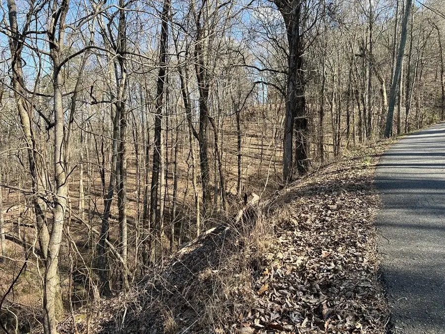 LOT 326 Adair Drive, Ranger, GA 30734 - Image #3