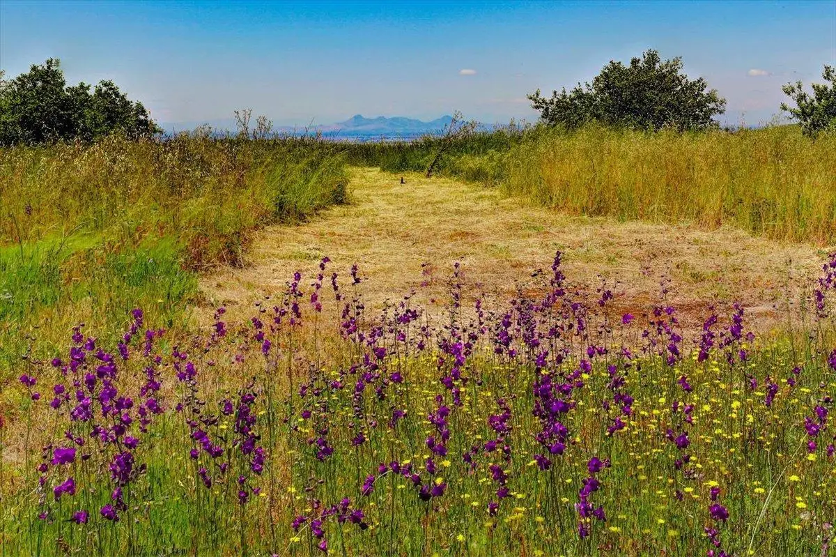 21323 Bald Ridge Drive, Penn Valley, CA 95946 - Image #1