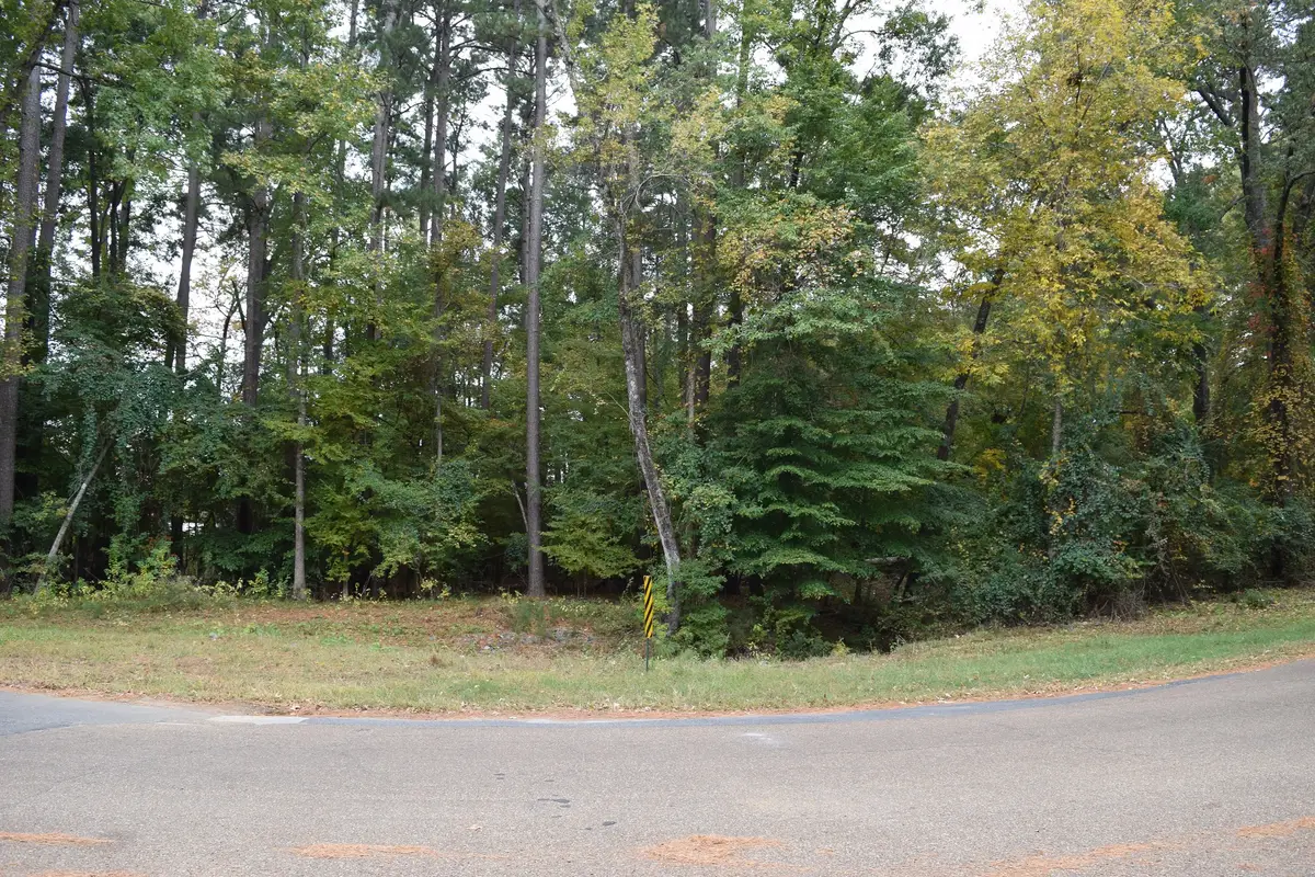 0 Chrislo Drive, Minden, LA 71055 - Image #1