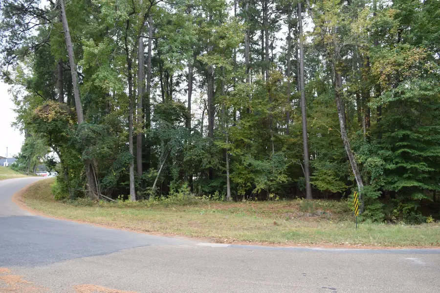 0 Chrislo Drive, Minden, LA 71055 - Image #2