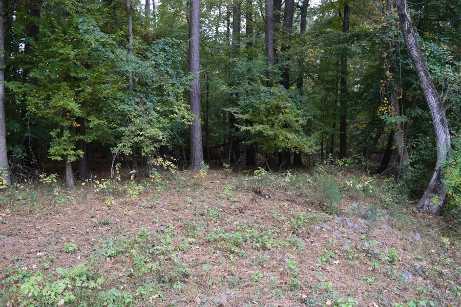 0 Chrislo Drive, Minden, LA 71055 - Image #3