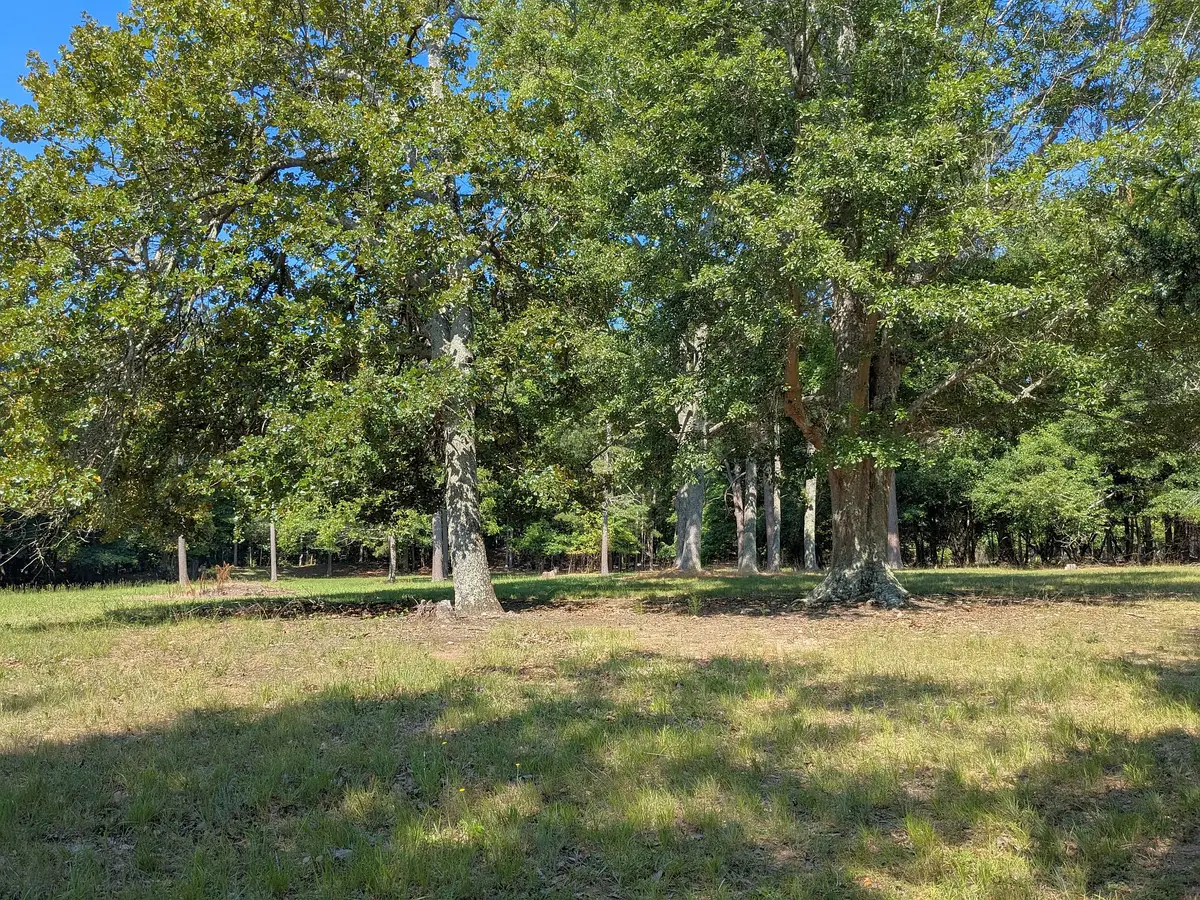 0000 Tract #1A Roddey Road, Catawba, SC 29704 - Image #1