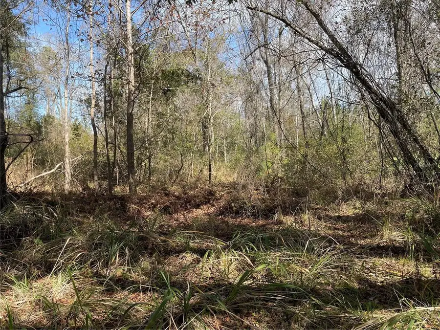 TBD NE Waldo Road, Gainesville, FL 32609 - Image #2