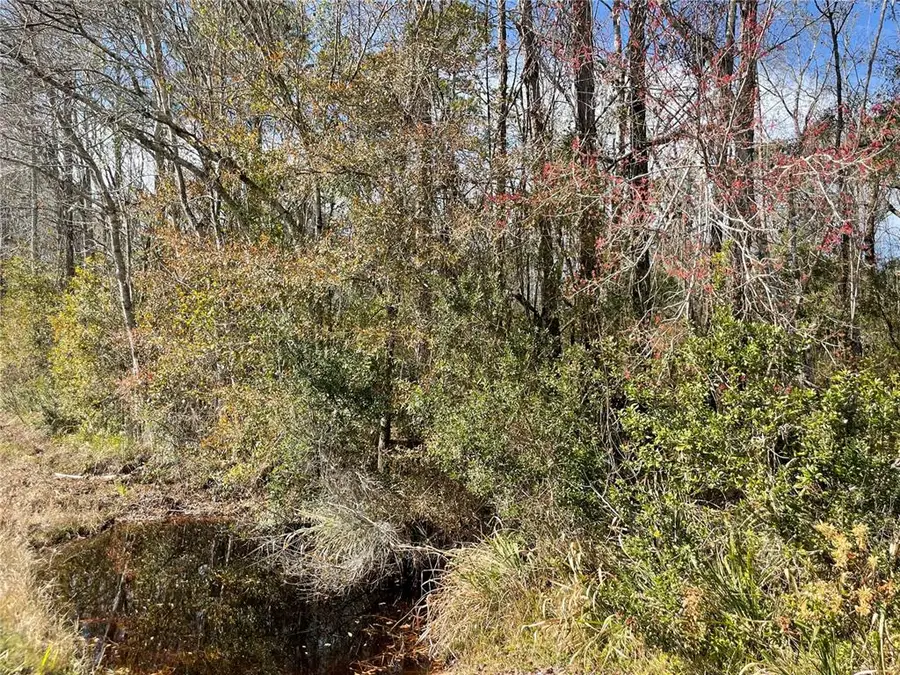 TBD NE Waldo Road, Gainesville, FL 32609 - Image #3