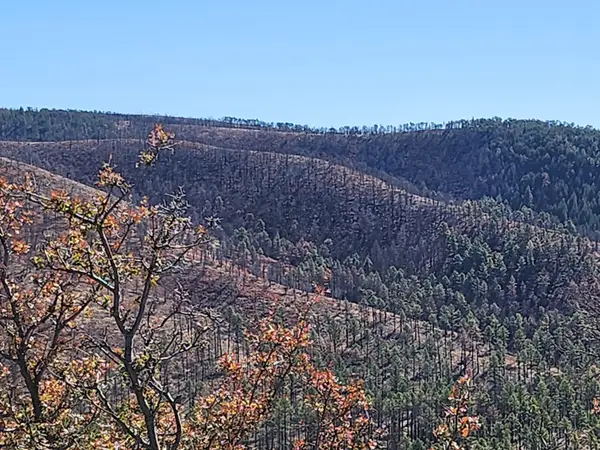 214 Mcbride Drive, Ruidoso, NM 88345