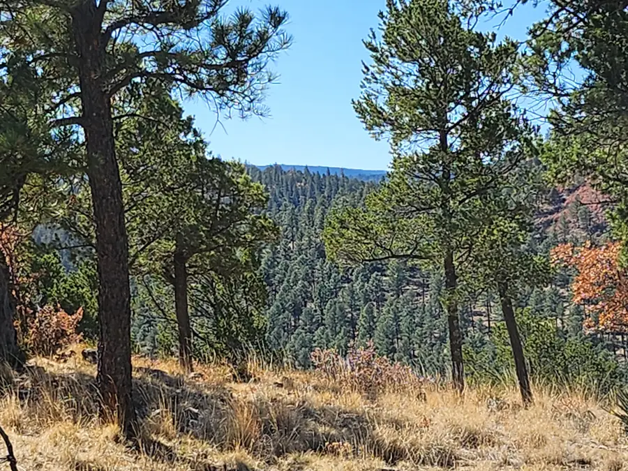 214 Mcbride Drive, Ruidoso, NM 88345 - #2