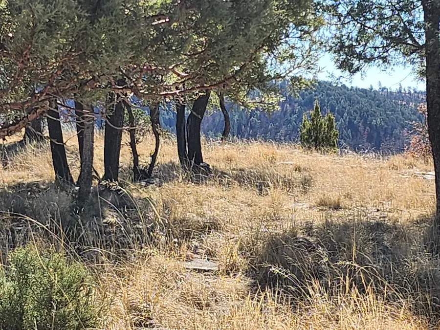 214 Mcbride Drive, Ruidoso, NM 88345 - #3