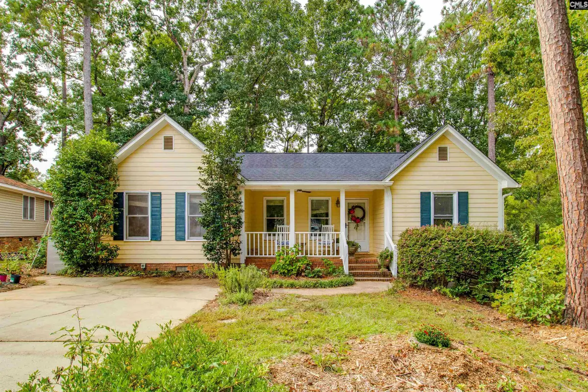 128 E Sparrowood Run, Lexington, SC 29072 - #1