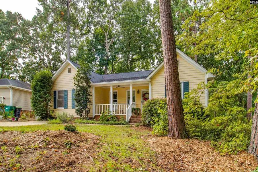 128 E Sparrowood Run, Lexington, SC 29072 - #2