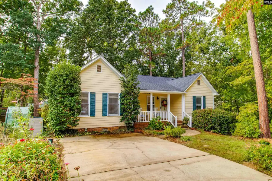 128 E Sparrowood Run, Lexington, SC 29072 - #3
