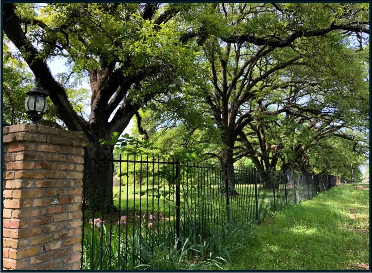 LOT 1 Angel Oaks, Shreveport, LA 71109 - Image #1