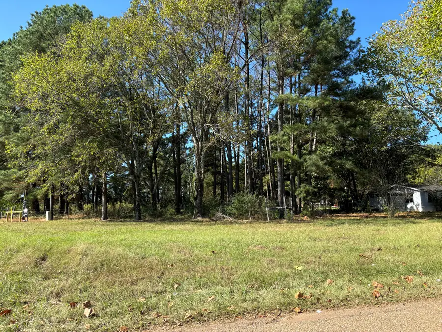 4157 Trexler, Texarkana, TX 75501 - Image #3