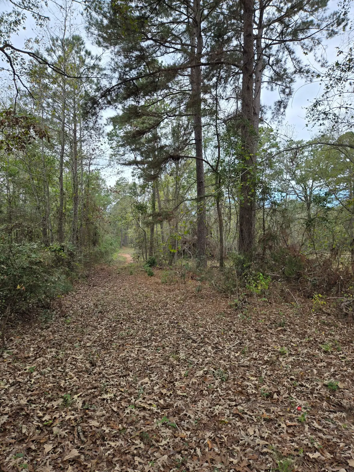 0000 CR 474, Rusk, TX 75652 - #1