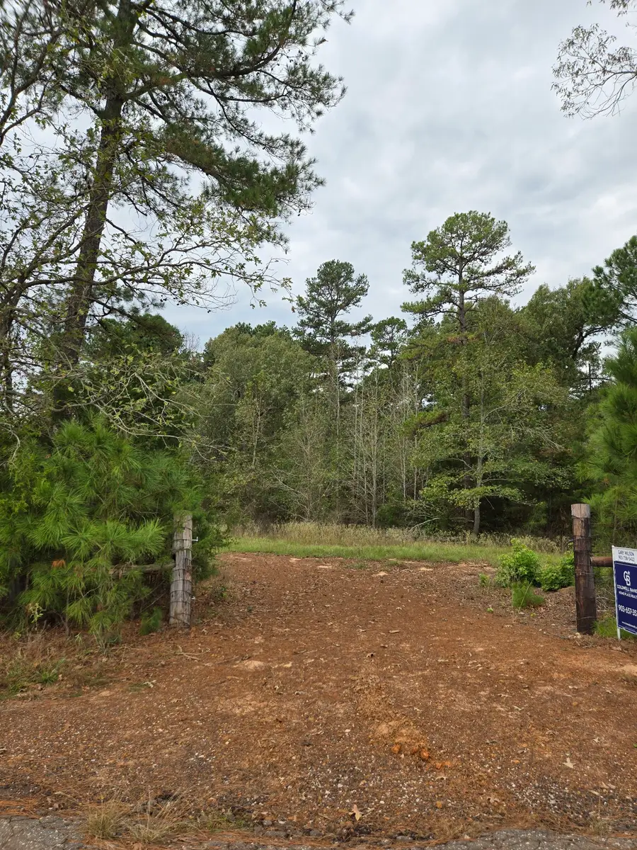 0000 CR 474, Rusk, TX 75652 - #3