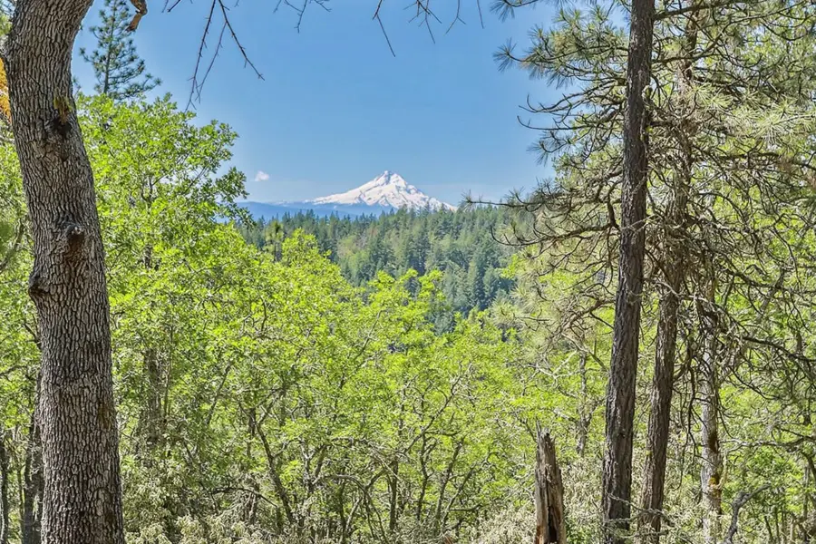 Oak Knoll Ridge Rd #11, Lyle, WA 98635 - Image #2