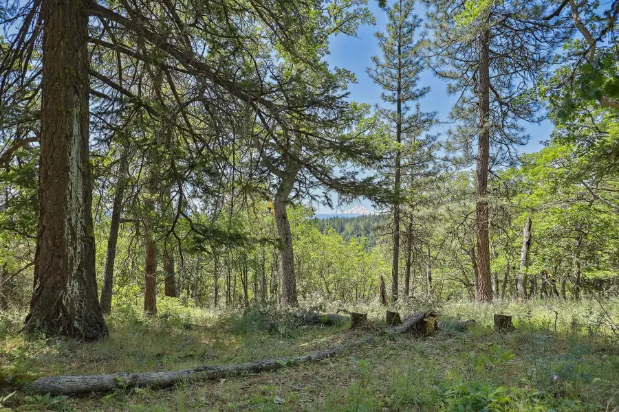 Oak Knoll Ridge Rd #11, Lyle, WA 98635 - Image #3