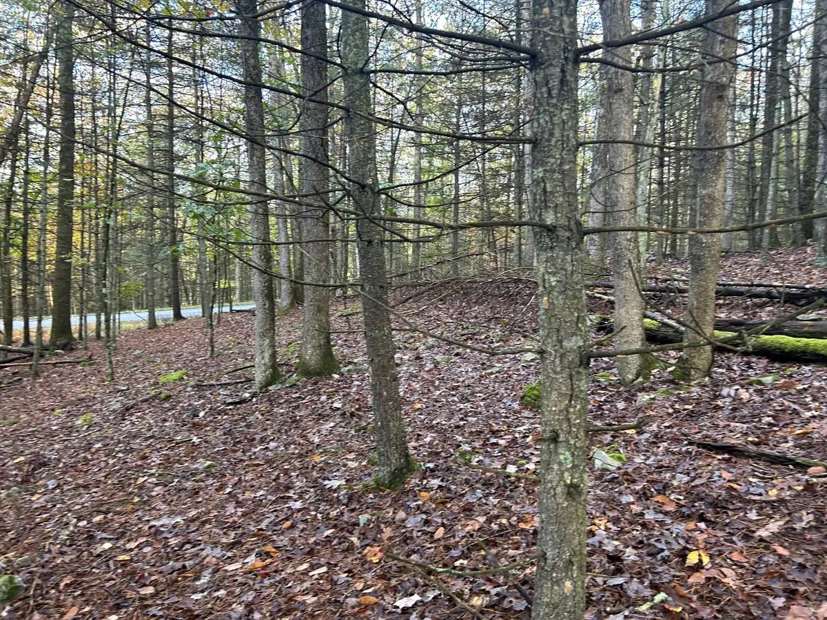 Lot 3 Cedar Ridge Road, Hawley, PA 18428 - Image #1