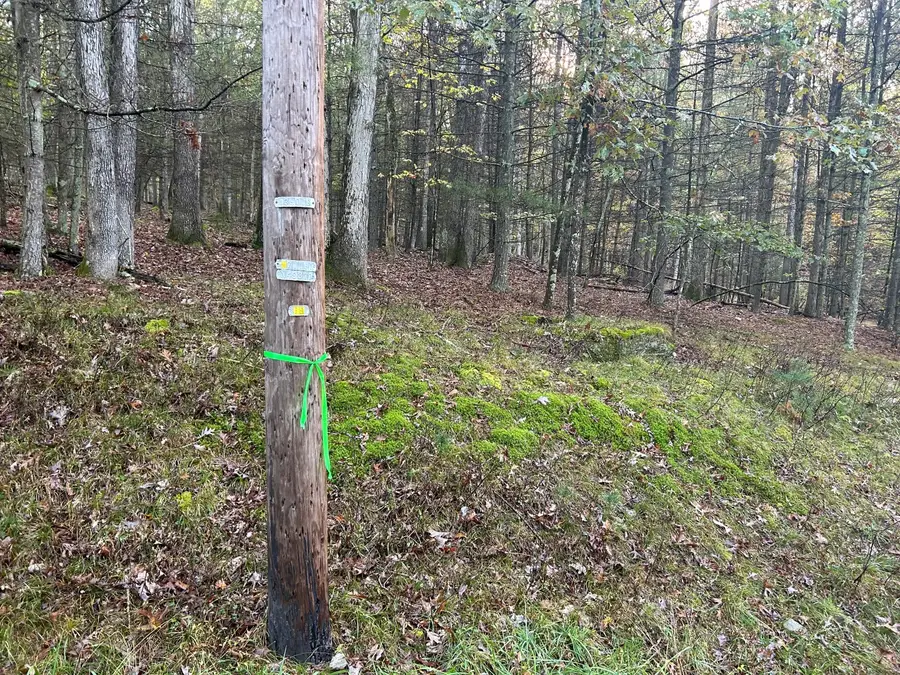 Lot 3 Cedar Ridge Road, Hawley, PA 18428 - Image #2