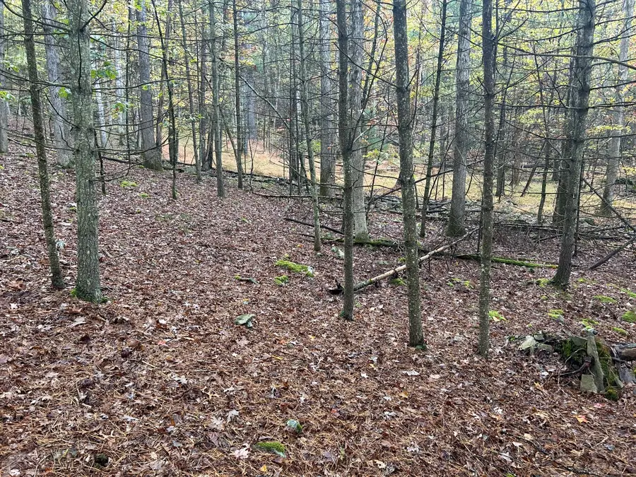Lot 3 Cedar Ridge Road, Hawley, PA 18428 - Image #3