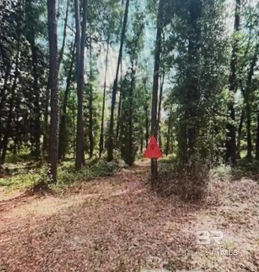 0 W Woodhaven Dairy Rd, Silverhill, AL 36576 - Image #2