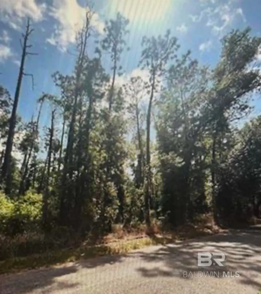 0 W Woodhaven Dairy Rd, Silverhill, AL 36576 - Image #3