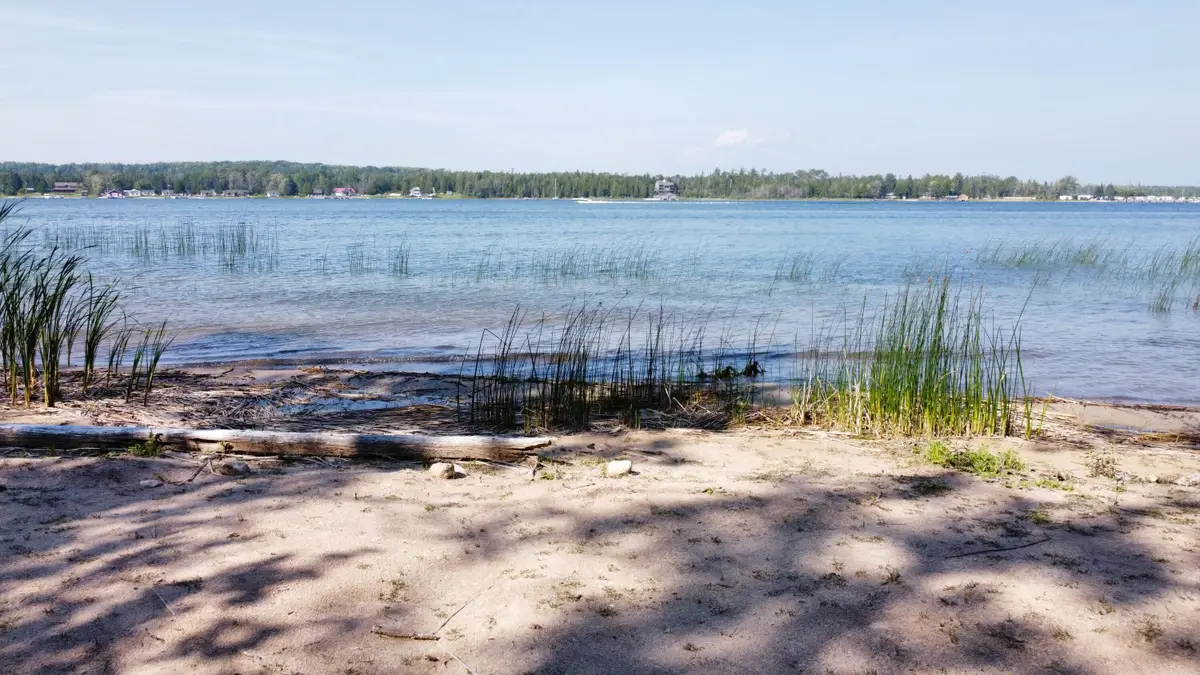 800 S Big Lasalle Island, Cedarville, MI 49719 - #1