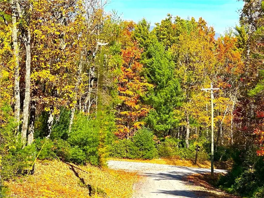 Address Withheld By Seller, McGrady, NC 28649 - Image #2