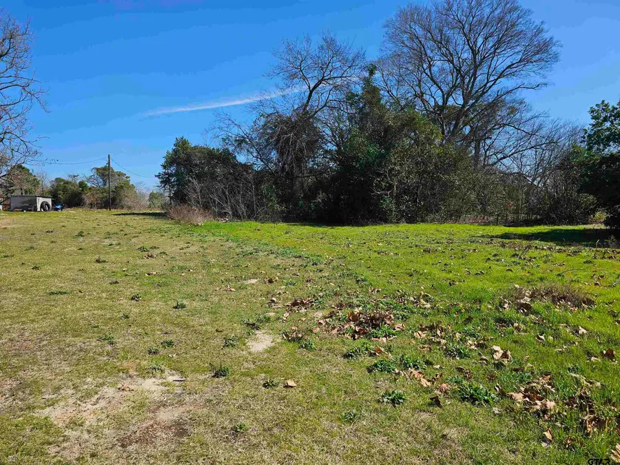 TBD FM 1002 (.58 ACRES), Big Sandy, TX 75755 - Image #2