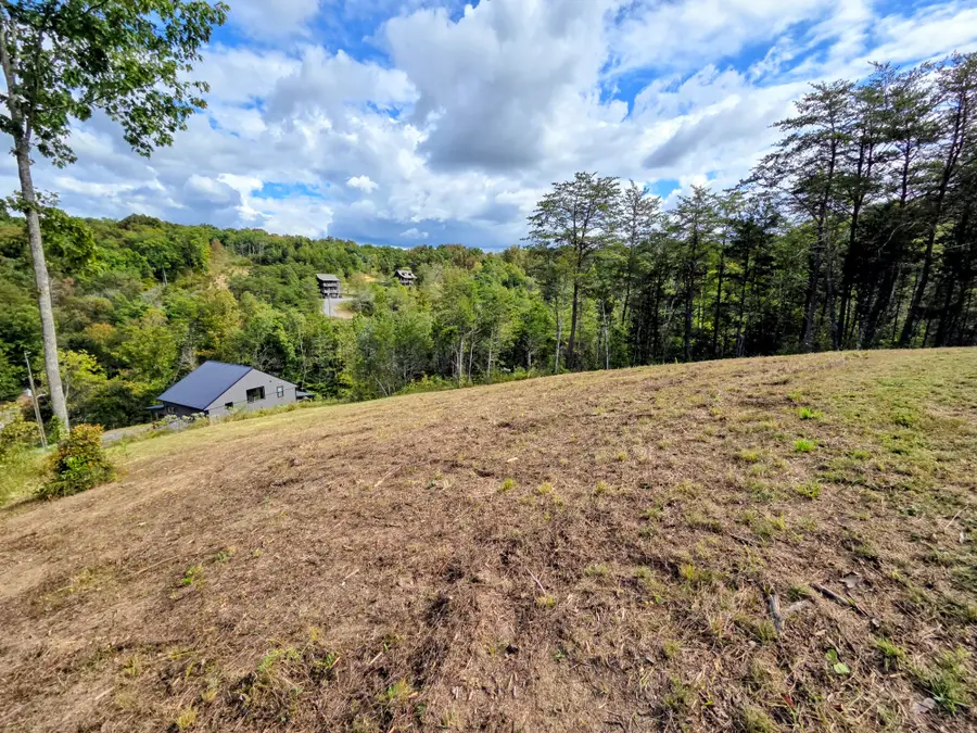 220 Pheasant (lot 8) Court, Sevierville, TN 37876 - Image #3