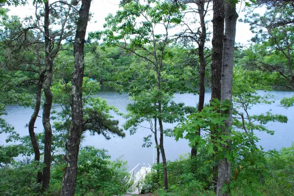 184 Fells Pond Road, Mashpee, MA 02649