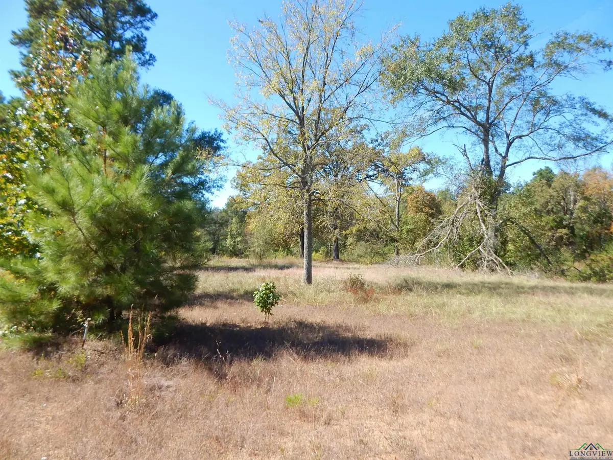 TBD .6 ACRE HWY 155, Gilmer, TX 75644 - Image #1