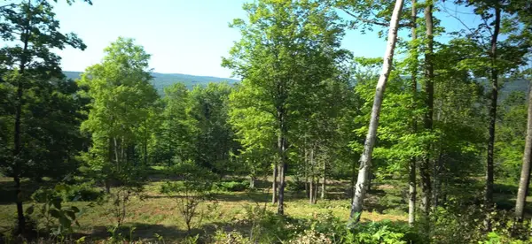 83xxx - Lot 12 Ashwabay Road, Bayfield, WI 54814