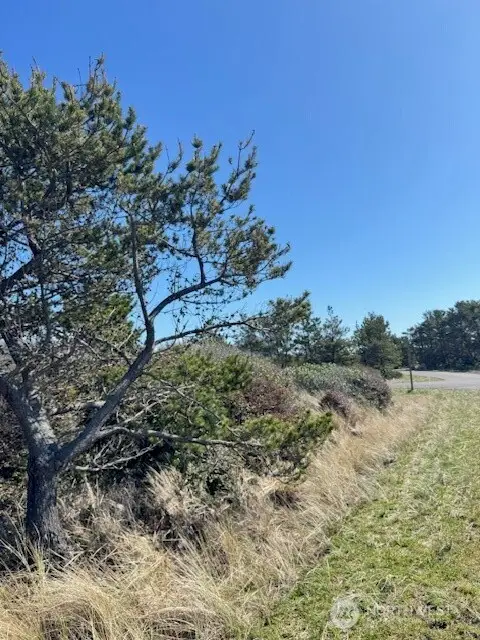 453 N Bel Air Loop #18, Ocean Shores, WA 98569 - Image #2