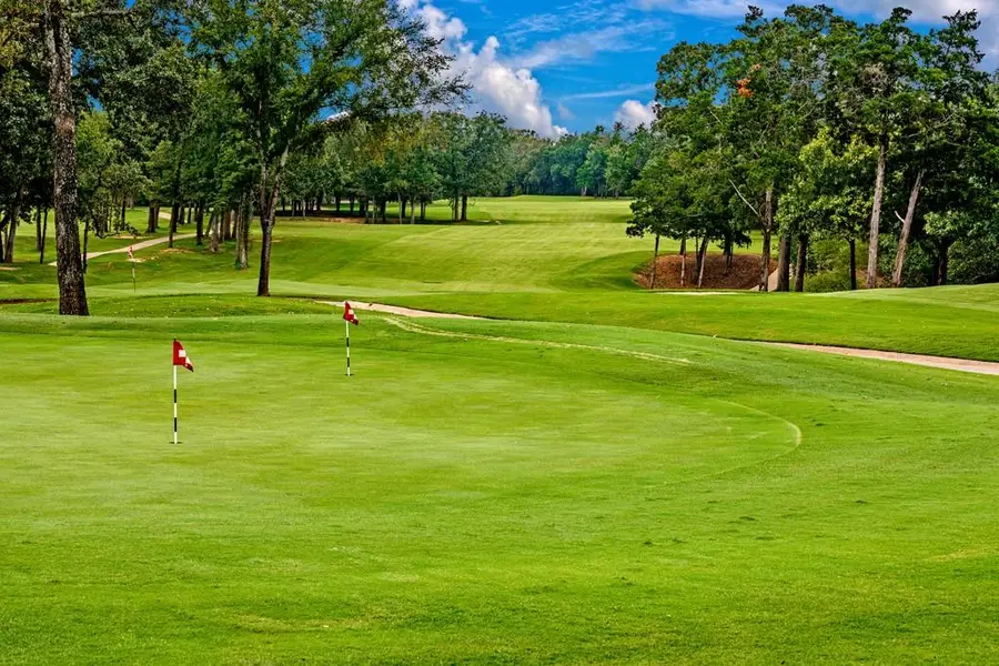 185 Great Waters Street, Gordonville, TX 76245 - Image #3