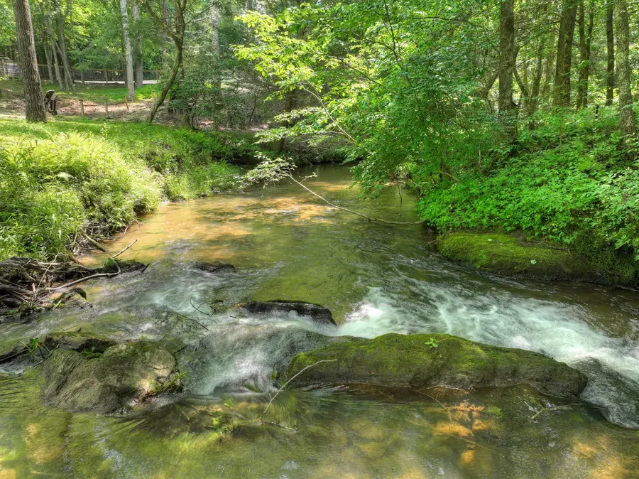 577 Macedonia Church Road, Blue Ridge, GA 30513 - #3