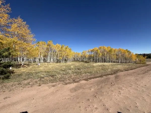 417 Aspen Way Drive, Florissant, CO 80816