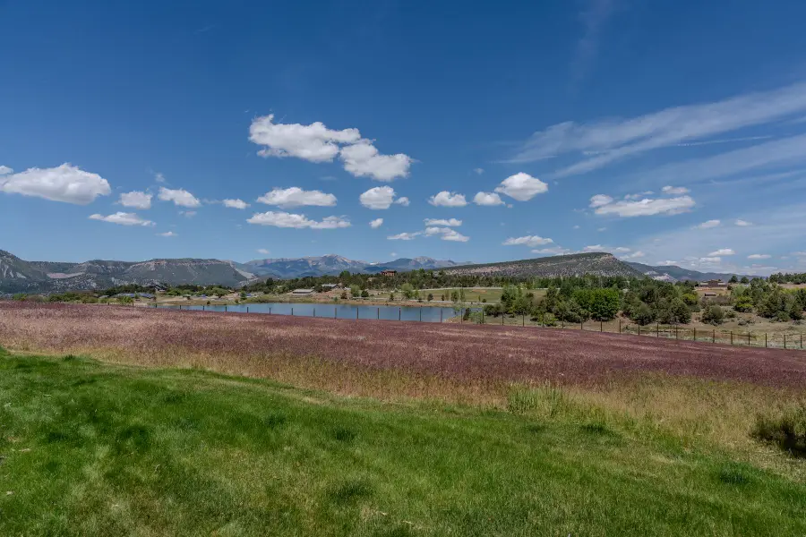 509 Jenkins Ranch Road, Durango, CO 81301 - #3
