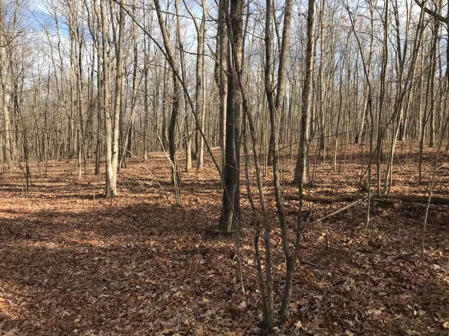 0 Greenfields Way N #13-A, Dunlap, TN 37327 - #2