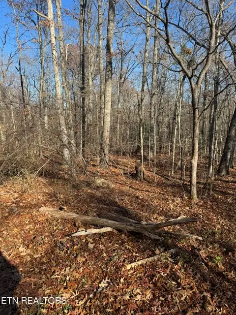 621 Catawba Lane, Crossville, TN 38572 - #1