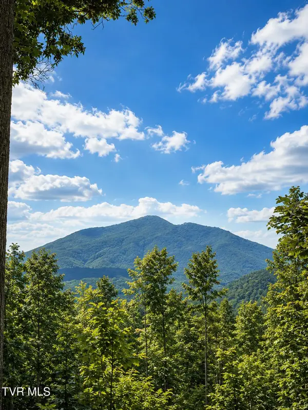 Tbd Heaton Branch Road, Butler, TN 37640