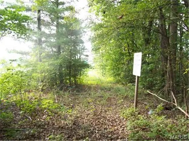 0 Hunt Road, Farmington, MO 63640 - #2