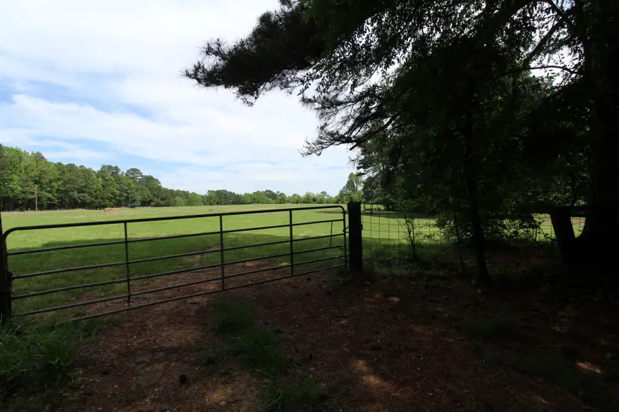 0 Eqypt Hill Road, Plain Dealing, LA 71064 - #2