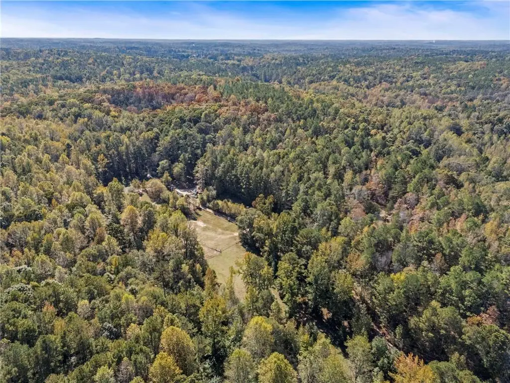 7790 Atlanta Newnan Road, Chattahoochee Hills, GA 30268 - #1