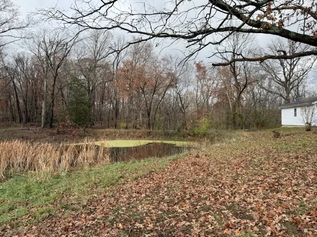 5267 Old North Road, Christopher, IL 62822 - #2