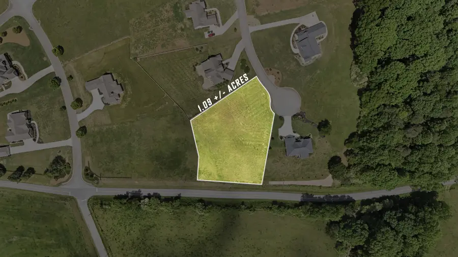 LOT 40 Meadow Run Court, Clarkesville, GA 30523 - #3