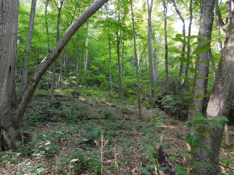 153 White Hollow Road, Salisbury, CT 06039 - #3