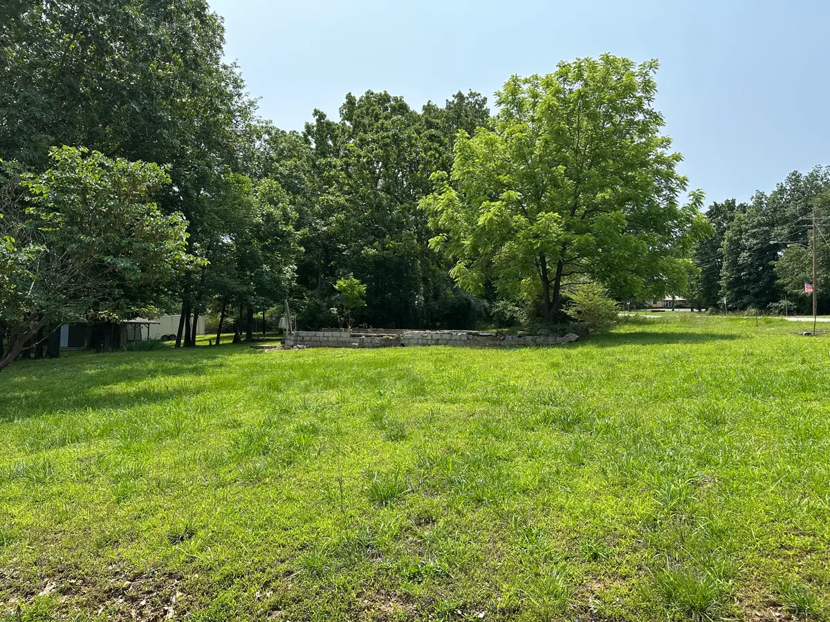 320 Hazelwood Drive, Diamond City, AR 72630 - Image #1