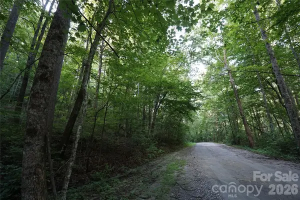 0 S Poplar Drive #162, Lake Lure, NC 28746