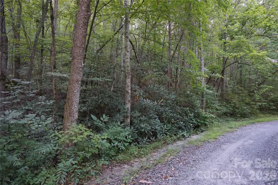 0 S Poplar Drive #162, Lake Lure, NC 28746 - #2