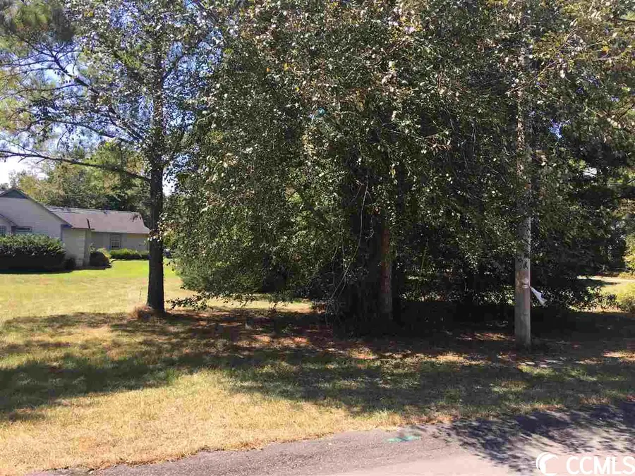 Lot 38 Fairway Dr., Little River, SC 29566 - Image #3